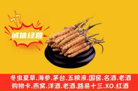 株洲市醴陵回收冬虫夏草